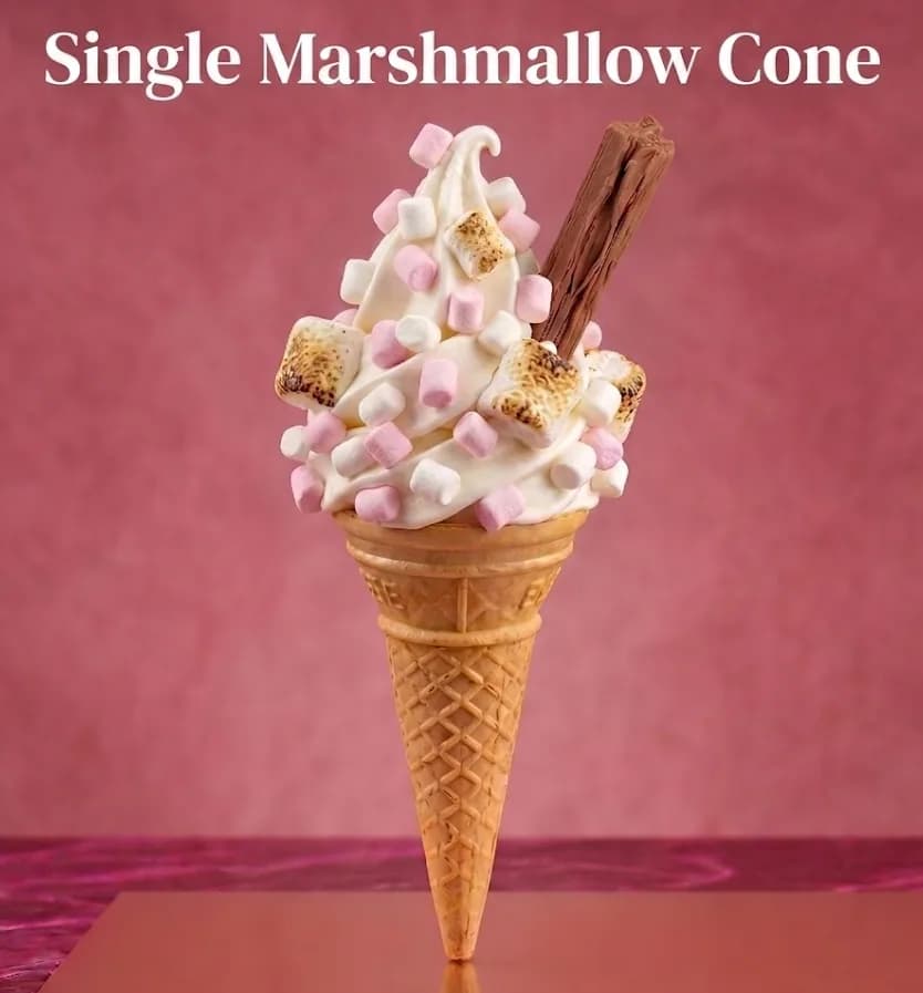 Marshmallow Cone